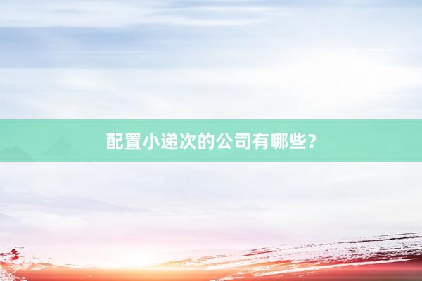 配置小递次的公司有哪些？
