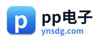 pp电子 Logo